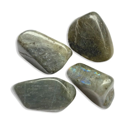 Labradorite collection